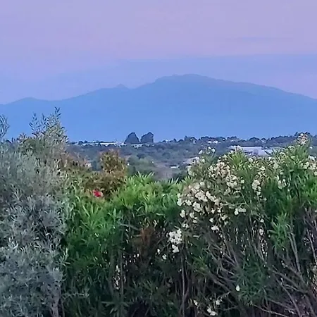 Avra *