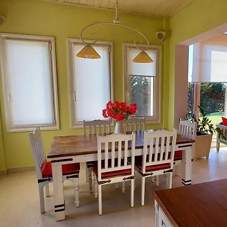 Avra فيلة دراما