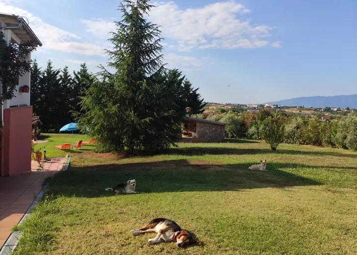 Avra